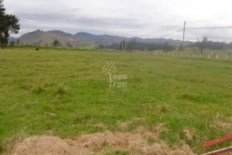 Land For Sale In Cumbe 1928 Meters