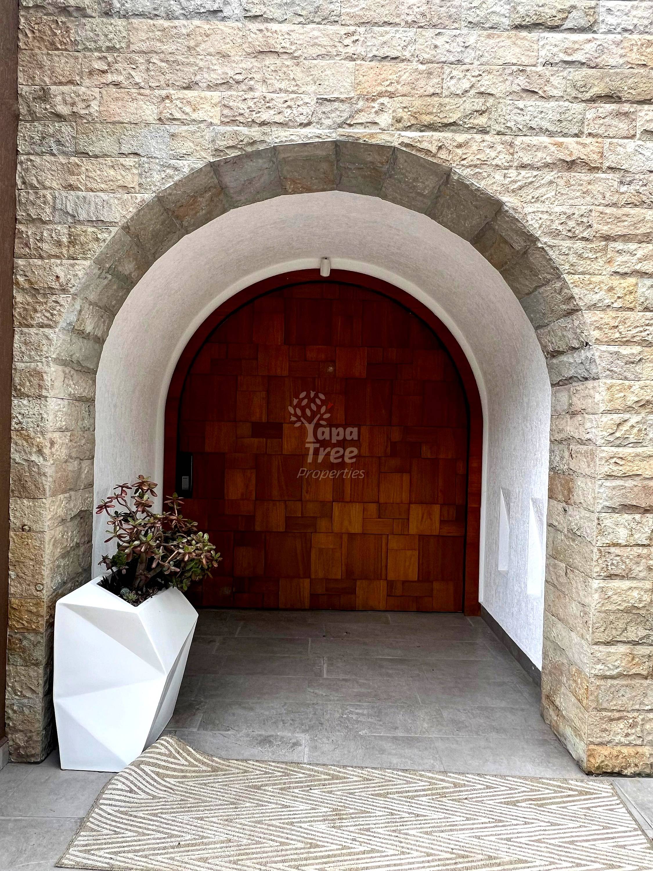Stone archway entrance with arched wooden door, white stucco frame, geometric patterned doormat, and white planter with plant.