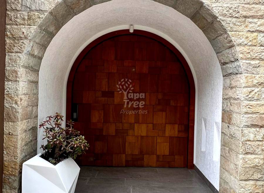 Stone archway entrance with arched wooden door, white stucco frame, geometric patterned doormat, and white planter with plant.