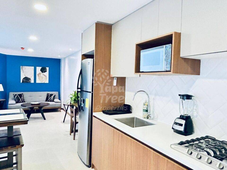 Modern 1-Bedroom Duplex Apartment with Private Balcony in Contemporary Building
