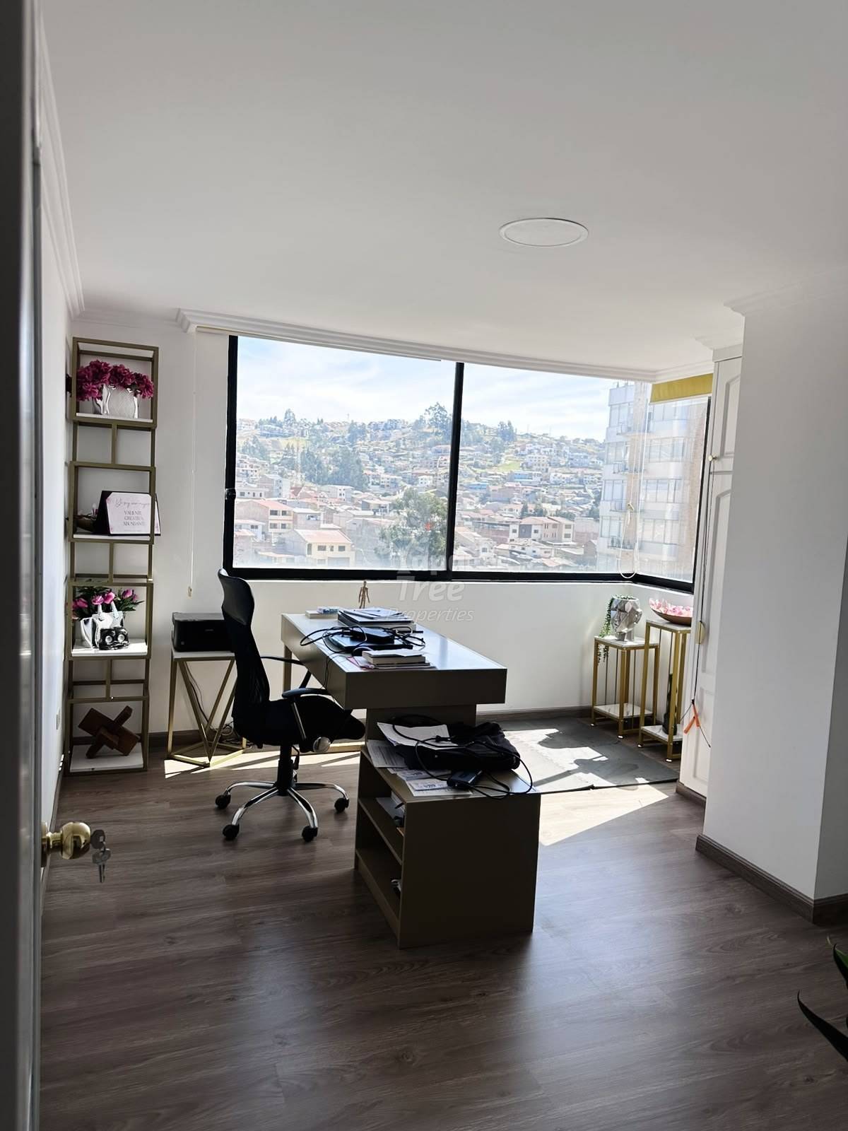 Office room with dark wood desk, black chair, shelving unit with flowers, large windows overlooking Cuenca hillside, recessed ceiling light.