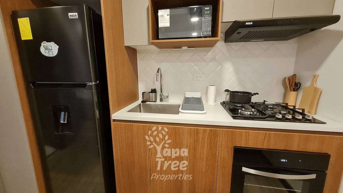 Modern Ground Floor Suite 1 min from Parque de la Madre