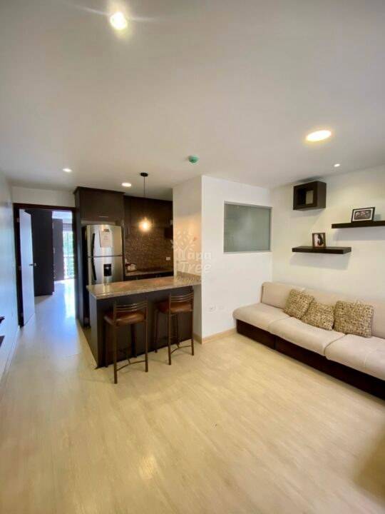 Modern Suite Near Monay Shopping