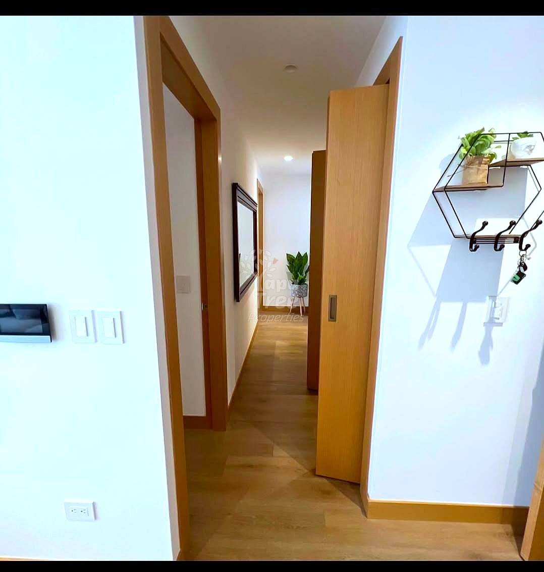 Hallway with wooden doors, white walls, recessed lighting, and wall-mounted wire shelf with plant on right side.