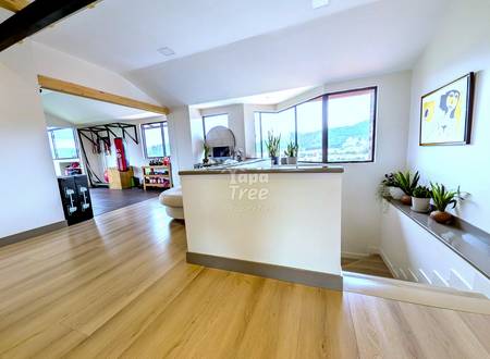Penthouse in front of Pumapungo Ruins