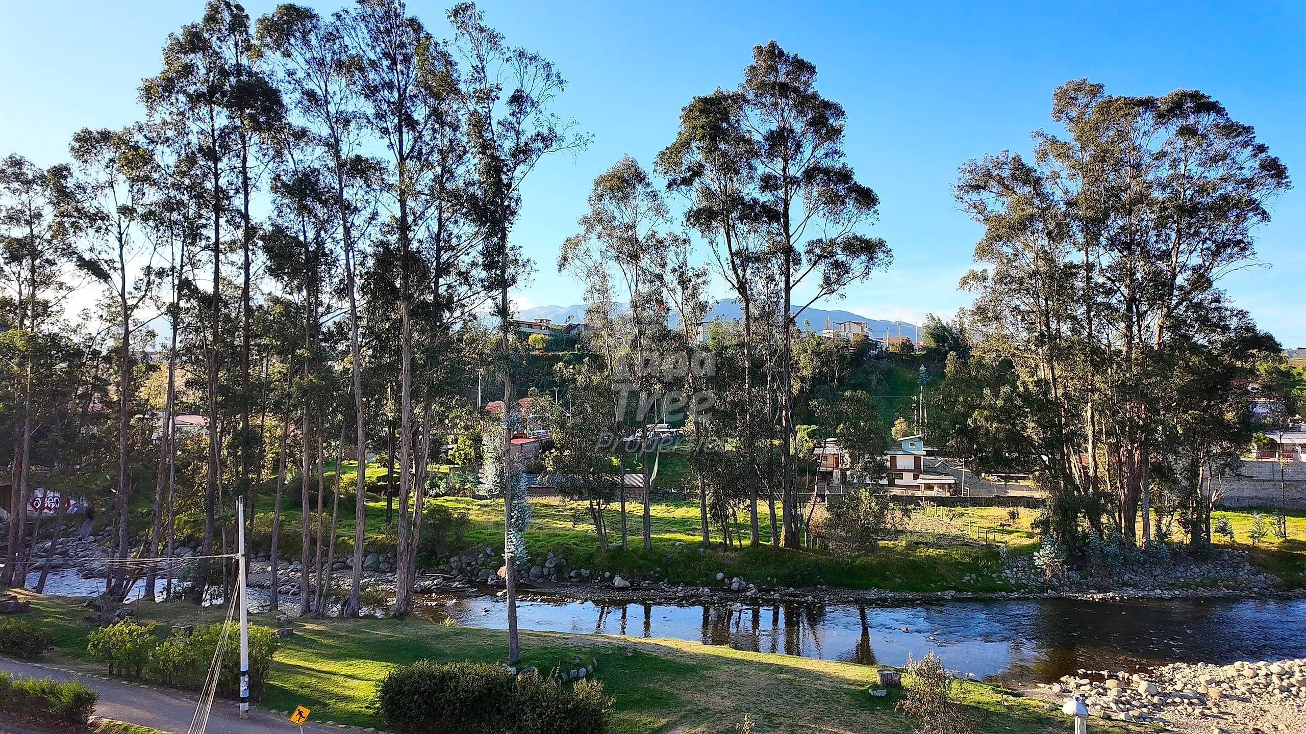 Linear park and river from the terrace