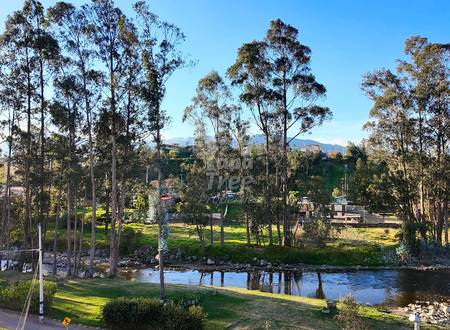 Riverside view with tall eucalyptus trees, grassy banks, calm water, and distant mountains under clear blue sky.