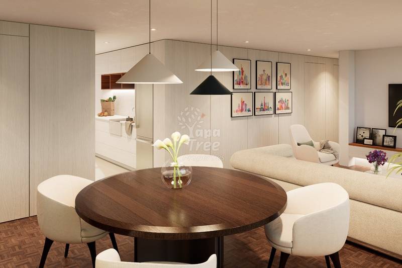 Solano Reimagined: A Home Shaped by You