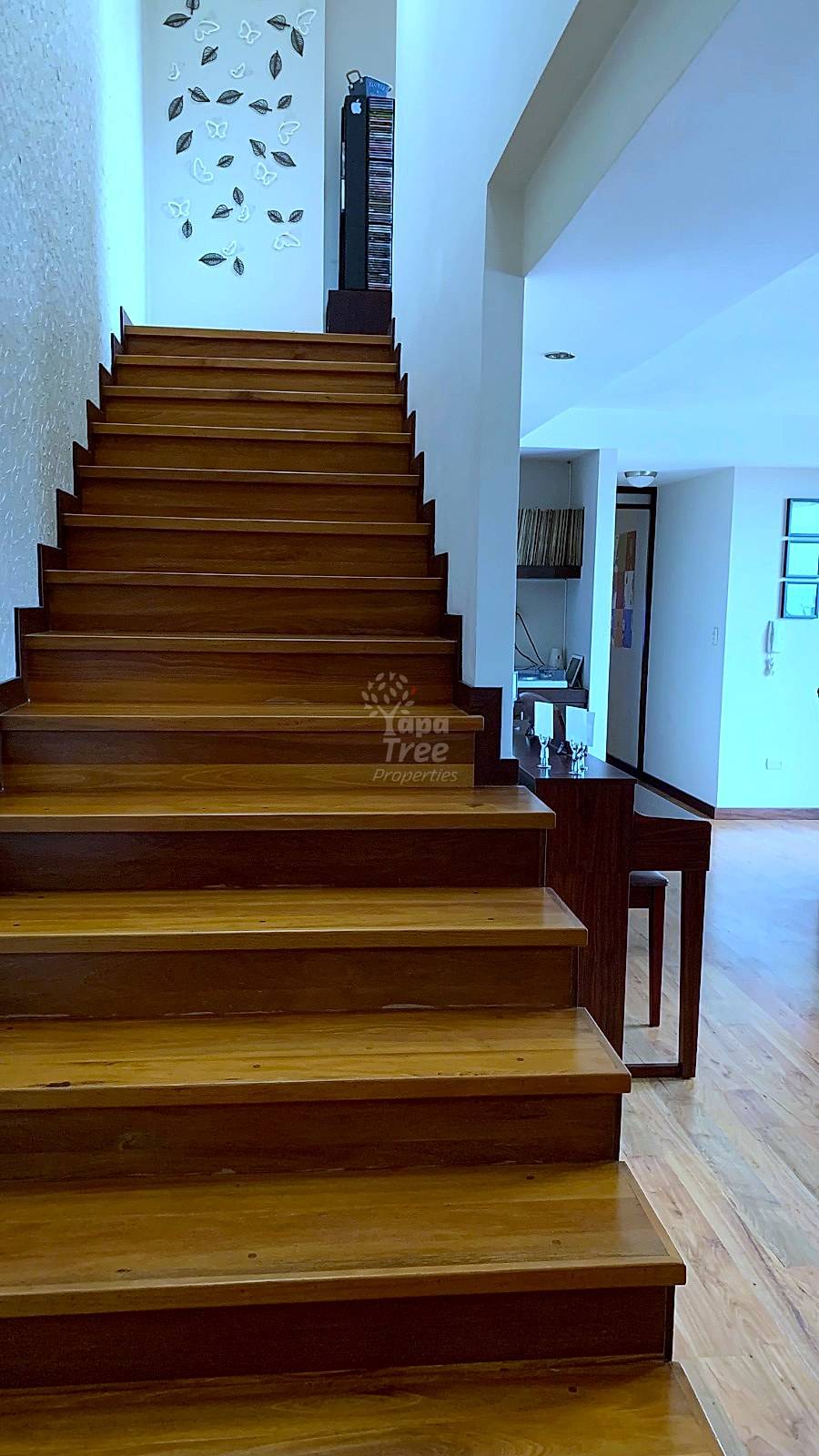 Interior staircase with wooden steps, cream walls, decorative leaf wall art, and wooden floor visible at bottom landing.