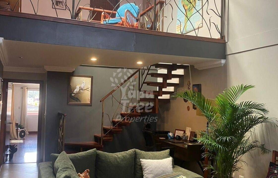 Spacious 3-Bedroom Duplex with Large Terrace and Natural Light