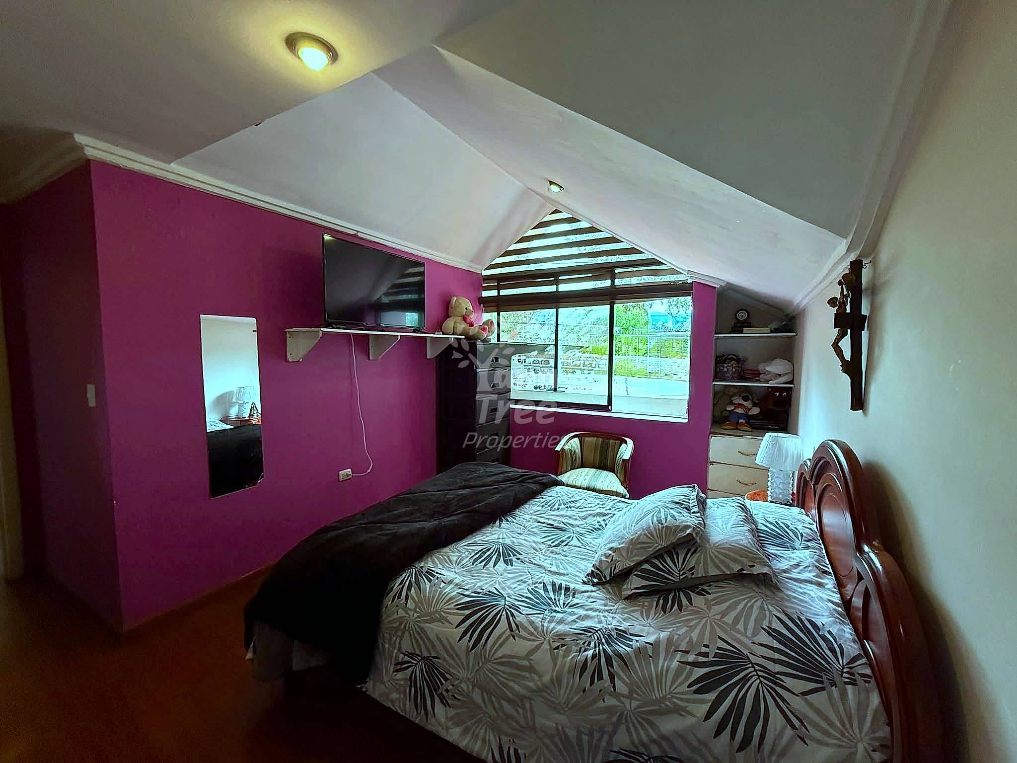 Bedroom with magenta walls, wooden bed frame, wall-mounted TV, built-in shelving, sloped ceiling with skylight, and large window with mountain views.