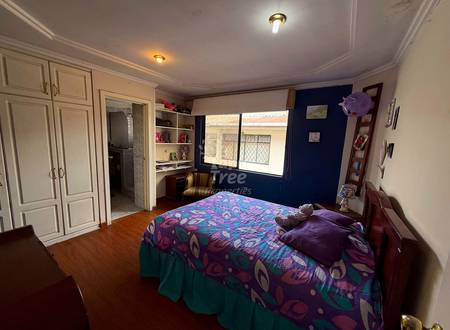 Bedroom with wooden floor, full bed with patterned purple bedding, white wardrobe, built-in shelving, dark blue accent wall, and window with city view.