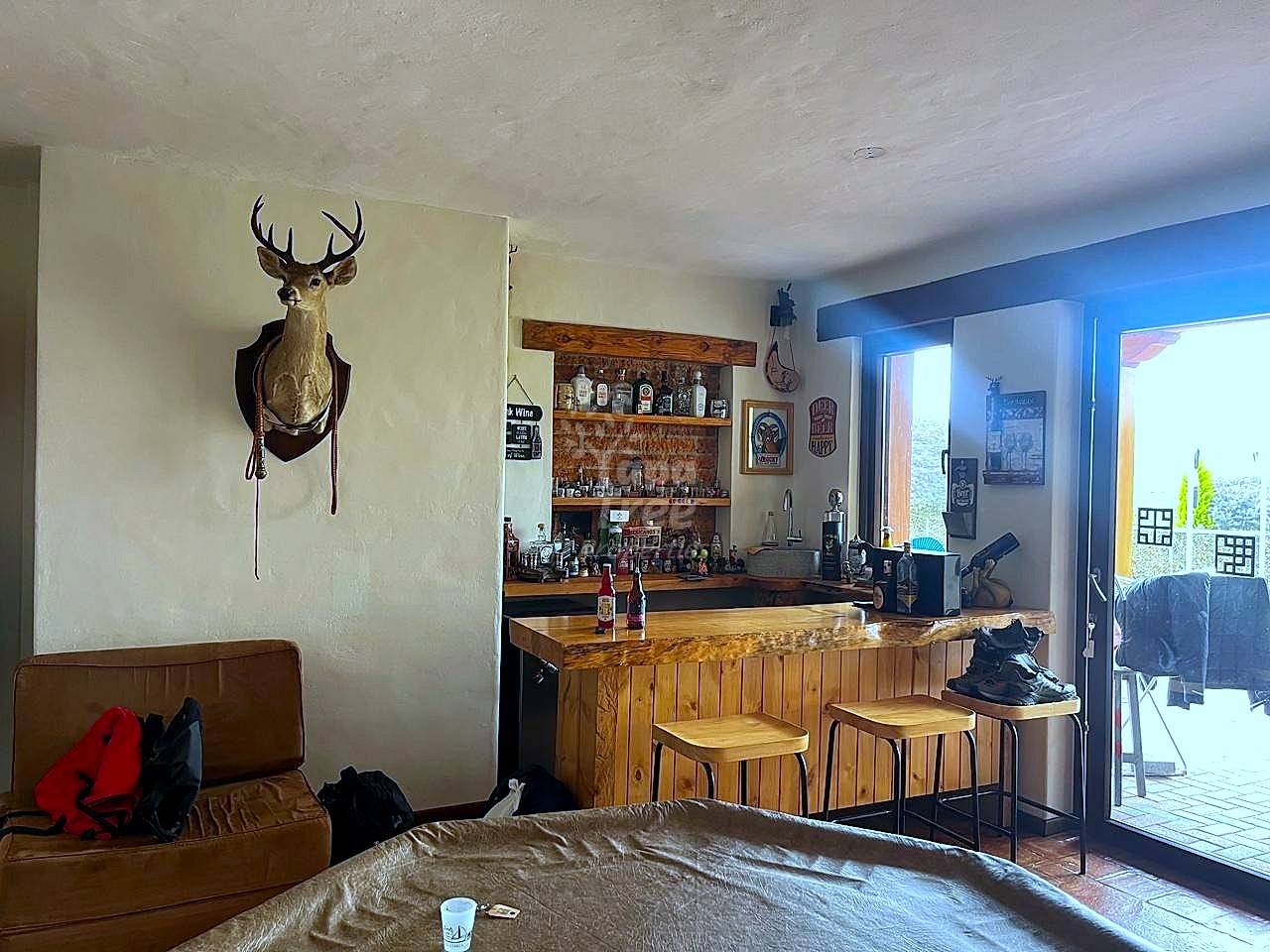 Studio bedroom with brown leather sofa, wooden bar counter with stools, mounted deer head, and glass doors opening to terrace with natural light.