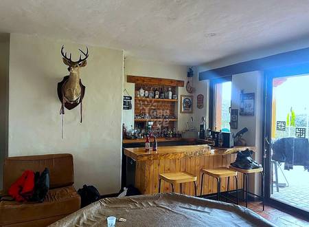 Studio bedroom with brown leather sofa, wooden bar counter with stools, mounted deer head, and glass doors opening to terrace with natural light.