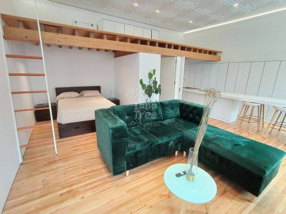 Unique 1BDR Apartment in Historical District [Loft-Style]