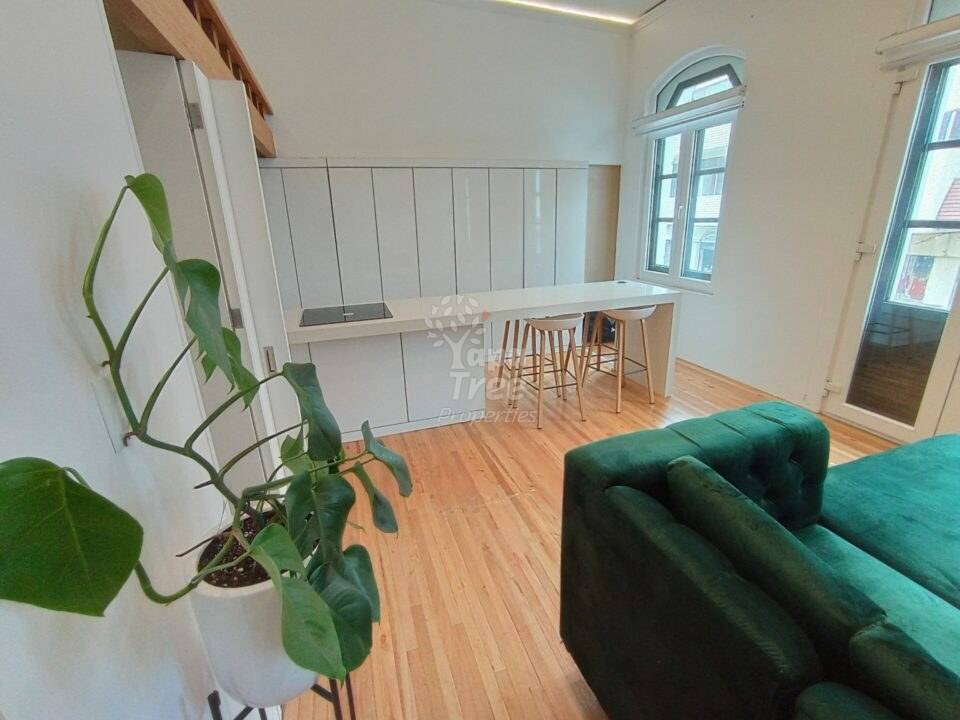 Unique 1BDR Apartment in Historical District [Loft-Style]