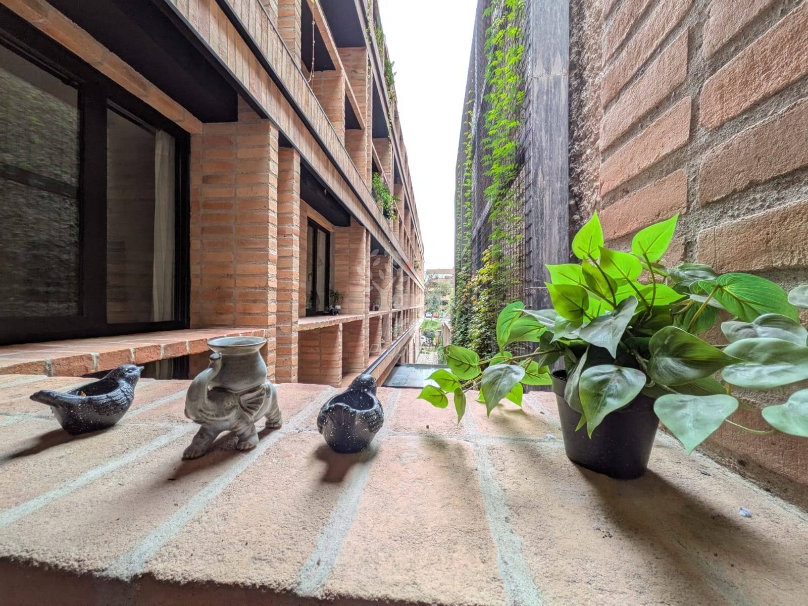 Concrete balcony with potted green plant, decorative ceramic figurines, brick building facade, and ivy-covered walls in background