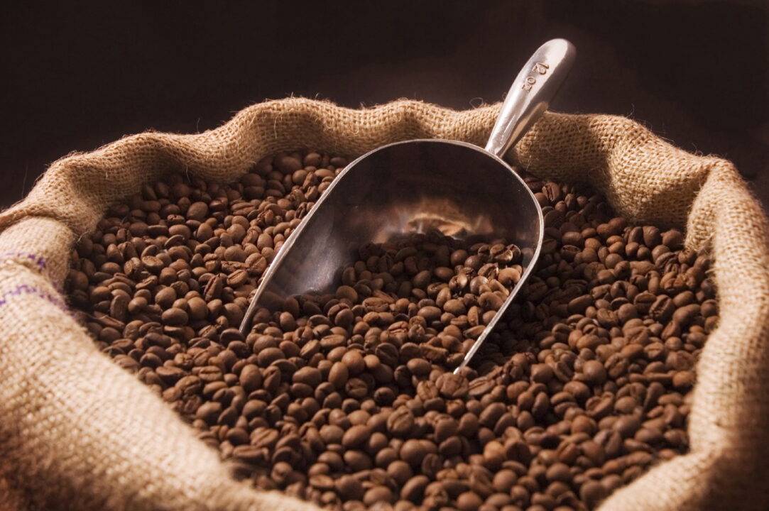 Are You Ready to Experience Coffee In Paradise?