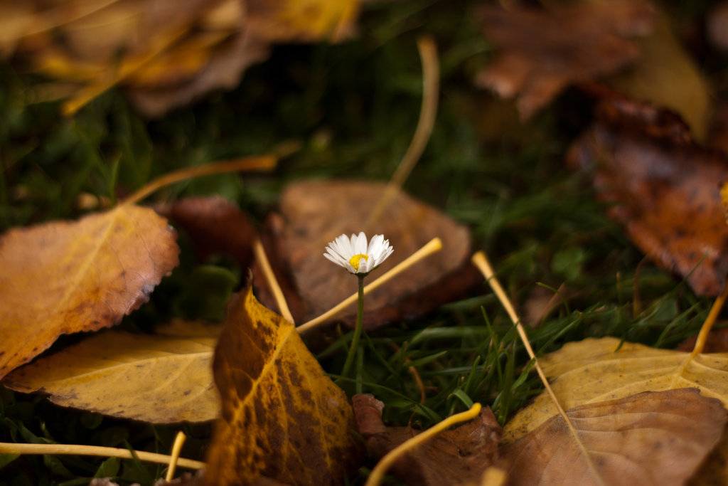 Your Bottom Line In Retirement: Will You Focus On Growth Or Decay?