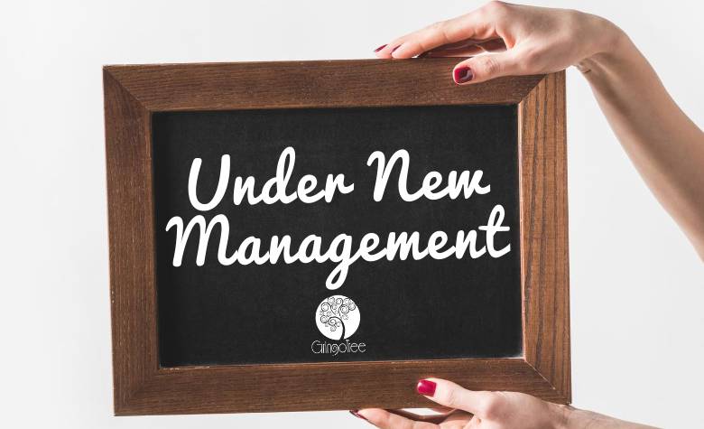 GringoTree's New Management