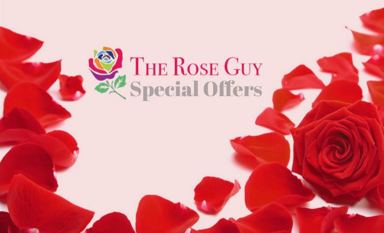 Send Ecuador Roses to the US (New Offer from The Rose Guy)