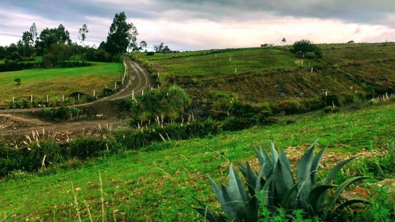 Buying land near Cuenca case study
