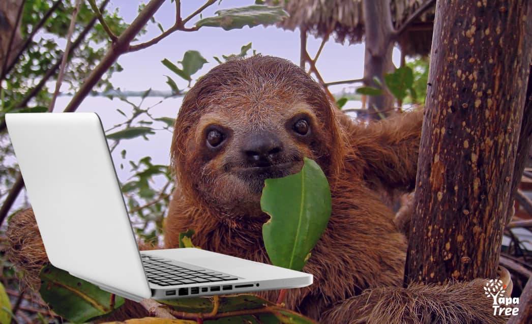 5 Reasons to Work Remotely From Ecuador