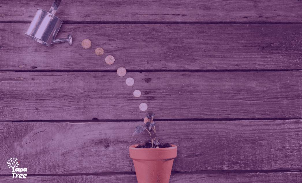 Guide to CD Investing in Ecuador