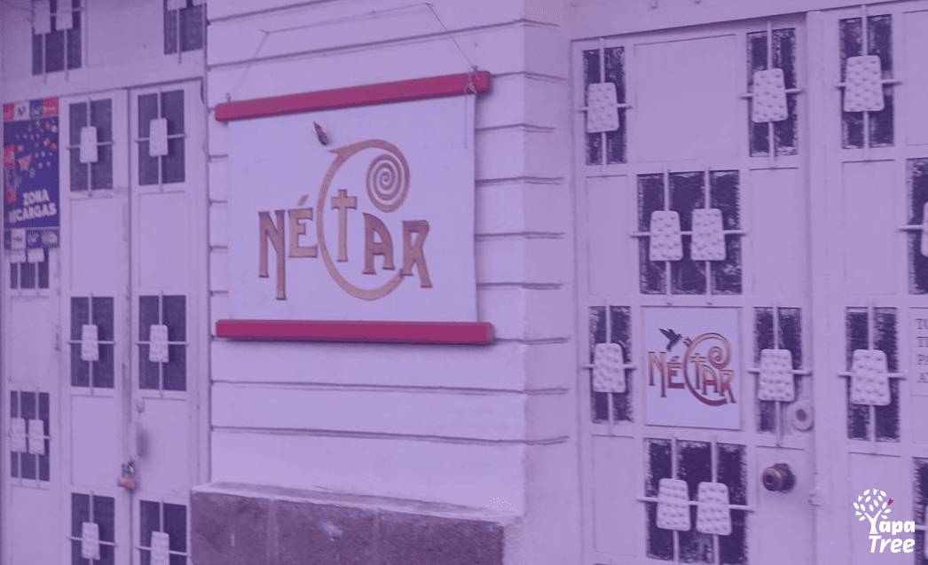 Tienda Nectar: Desde 2011 hasta ahora
