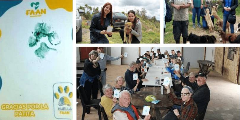 FAAN Cuenca - Dog Adoption Fun