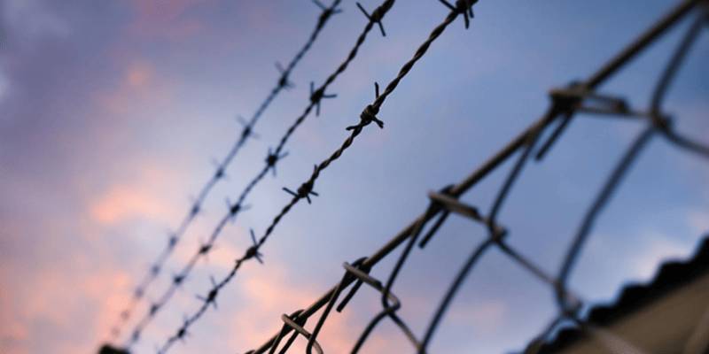 Security fences