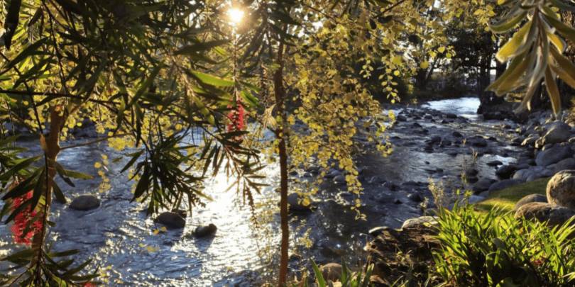 Yanuncay River Cuenca