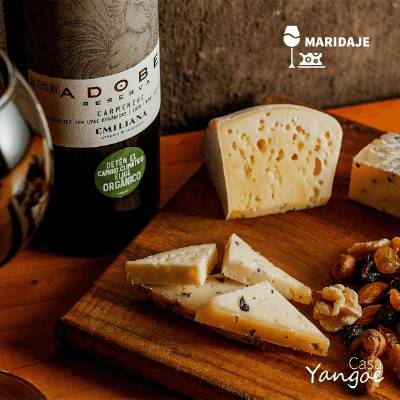 Gourmet Cheese & Wine