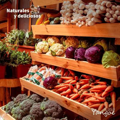 Organic Produce at Casa Yangoe 3