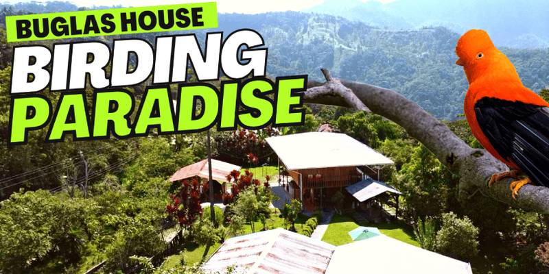 Birding at Buglas House
