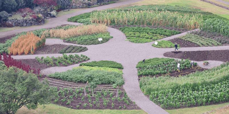 Agricultural Grounds