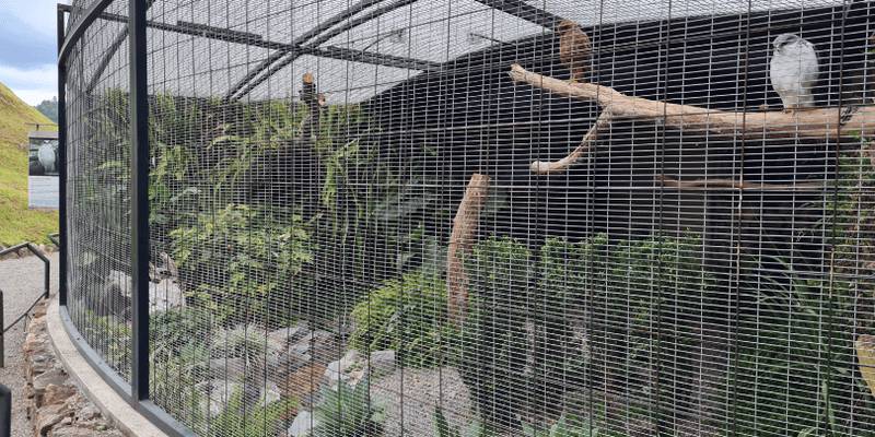 Bird Sanctuary