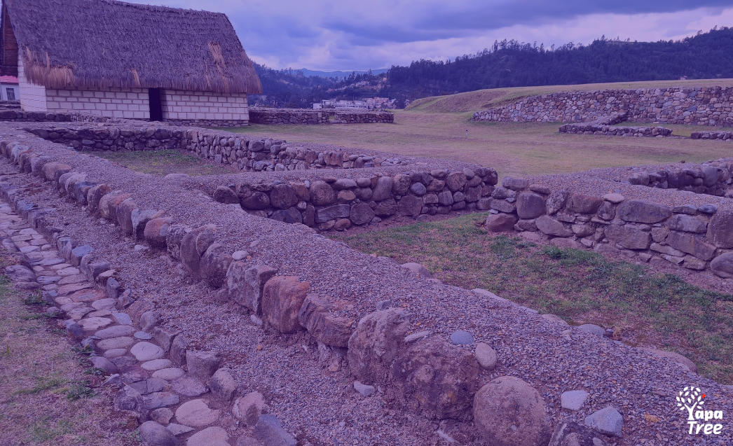 Guide to Museo Pumapungo & Grounds