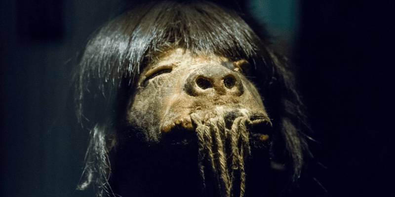 Shrunken Head at Pumapungo