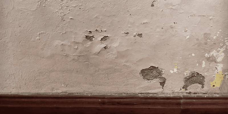 Water & Mould Issues