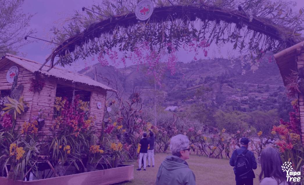 A Journey Through Uzhupud Garden: Orchids, History and Tranquility