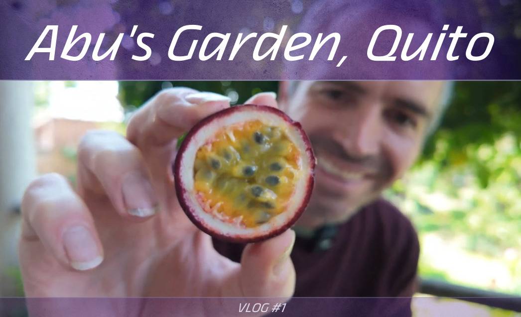 A Stroll Through Abu's Garden in Quito - Vlog 1
