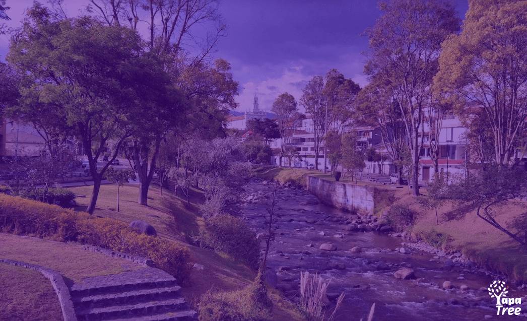 Why I Moved From Cuenca to Manta (And Then Returned to Cuenca)